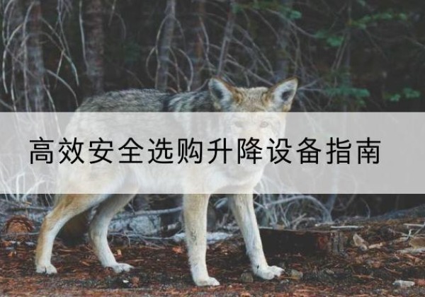 万荣升降货梯厂家推荐-*安全选购升降设备指南