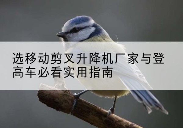 万荣电动升降机厂家-选移动剪叉升降机厂家与登高车必看实用指南