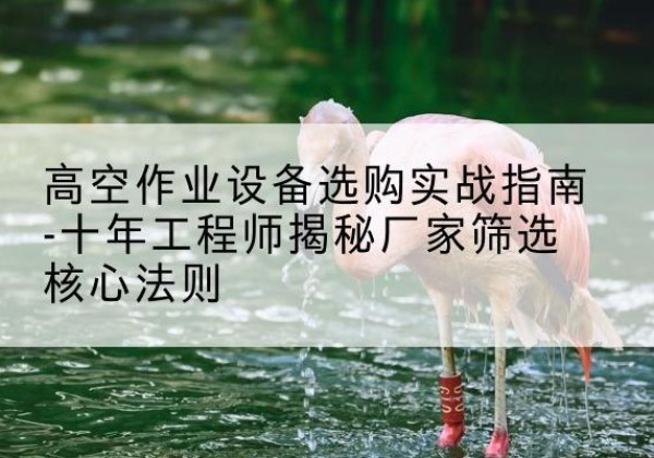 万荣剪叉式升降机厂家-高空作业设备选购实战指南-十年工程师揭秘厂家筛选核心法则